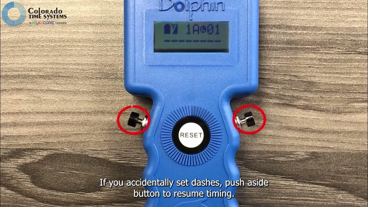 Using the Dolphin Wireless Swim Timing System as a Lane Timer YouTube