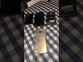 Here are Some of my phones #smartphone #gaming #shorts #viral