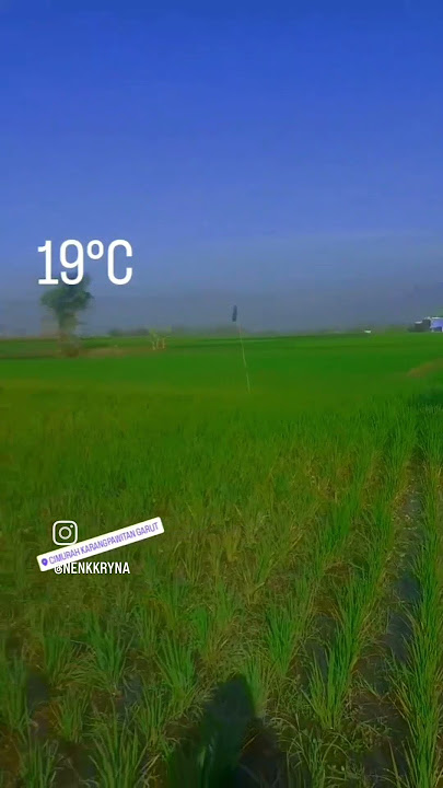 garut endah #garut #cimurah #kalibenda #niningmeida #tibelat