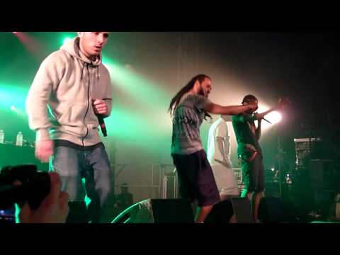 Youtube: Asocial Club live Aucard de Tours 2015