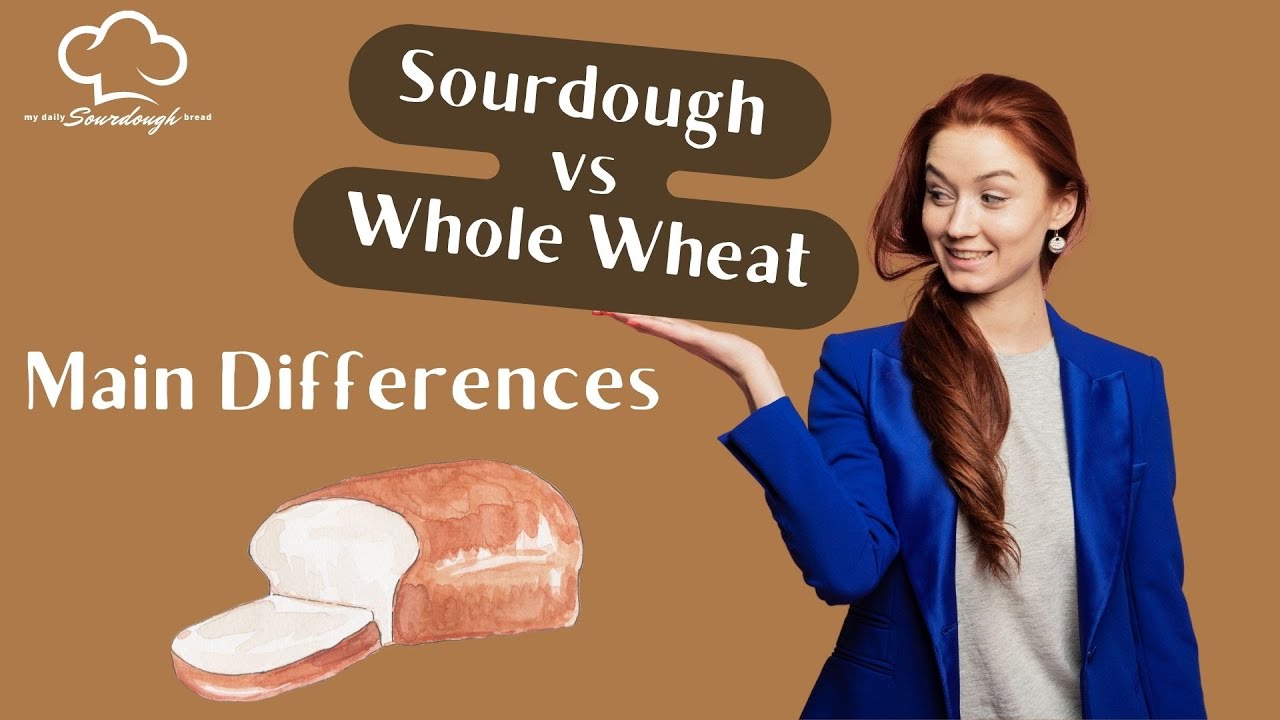 Sourdough vs Whole Wheat YouTube