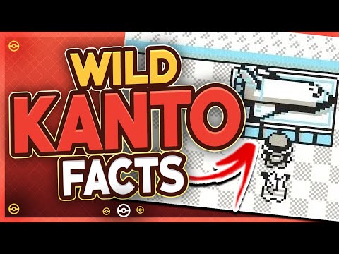 10 Facts You