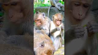 Captured - Unforgettable