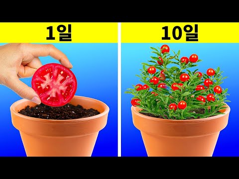 집 정원을 위한 영리한 아이디어