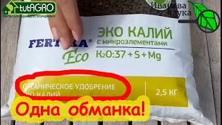 картинка: 🔴РАЗБОР ПОЛЁТОВ №3. Виктория Карелина оподзолилась. Ликвидация безграмотности и прививка от глупости