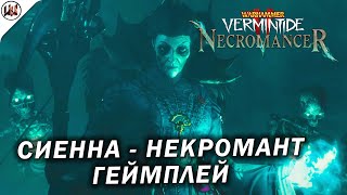 Сиенна - Некромант (Necromancer) - Геймплей. Warhammer: Vermintide 2