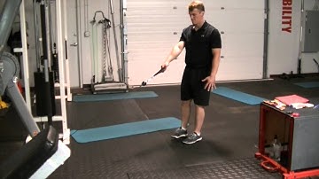 Rebel-performance.com:  1 Arm 1 Leg Cable RDL