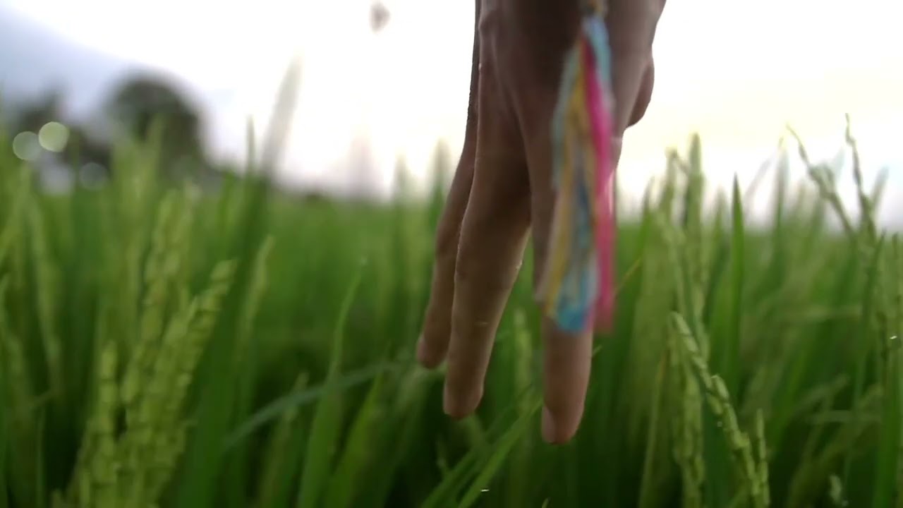 Soft Humming Guitar Music 🎸 | Calm Cafe Ambience for Study, Work & Relax | 2 Hours