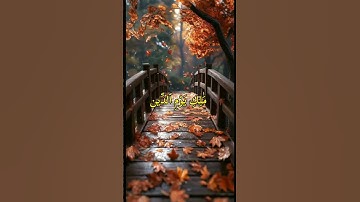 سورة الفاتحه#allah #quran #tilawat #قرآن