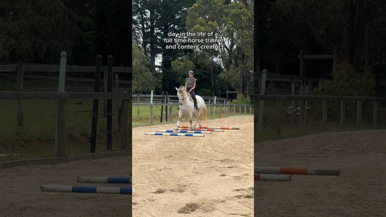Day in the life of a full time horse trainer and content creator 