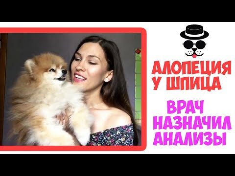 Какие анализы сдают при простатите