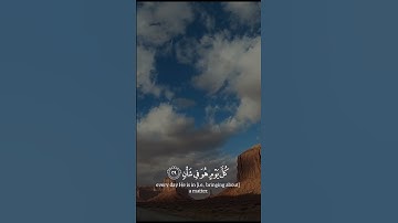 القارئ رعد الكردي- فبأي اٰلَٓاءِ رَبِّكُمَا تُكَذِّبَانِ