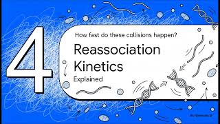  DNA denaturation, renaturation kinetics, and Cot curves #science #youtube #yt #uokkota 