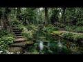 Sound Relaxation Therapy Rain for Calm Energy