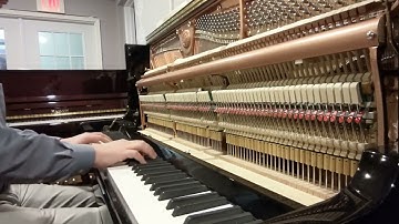 The inside of a piano while playing Piano Tuning in Chester County PA