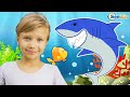 Baby Shark Song Nursery Rhymes for Kids with Baby Songs!