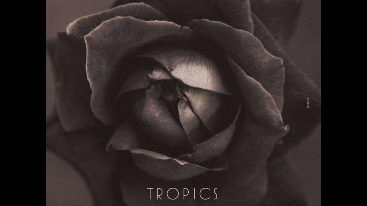 Tropics - Popup Cinema