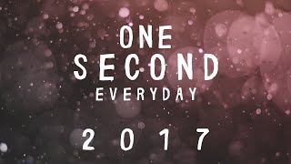 ONE SECOND EVERYDAY ~ Jessica Rose (2017)