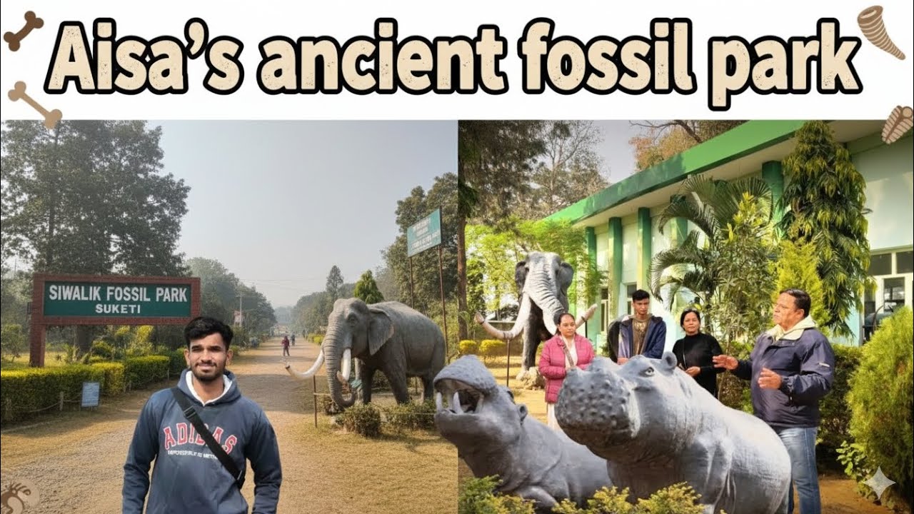 Aisa's first fossil park 🤠