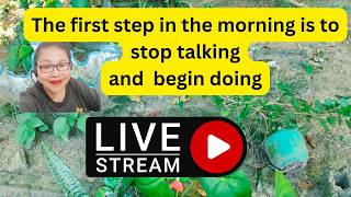 Motivational Warning: The first step in the  morning is to stop talking and begin doing