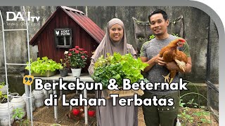 Berkebun di Lahan Terbatas