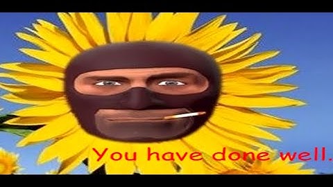 My first animation! (SFM)