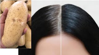 White Hair Dye Naturally With Potato | White hair to black hair in 3 minutes | Gray hair dye
