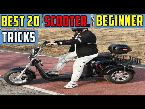 ✅Best 20 Beginner