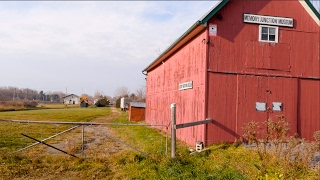 Memory Junction - Other Buildings