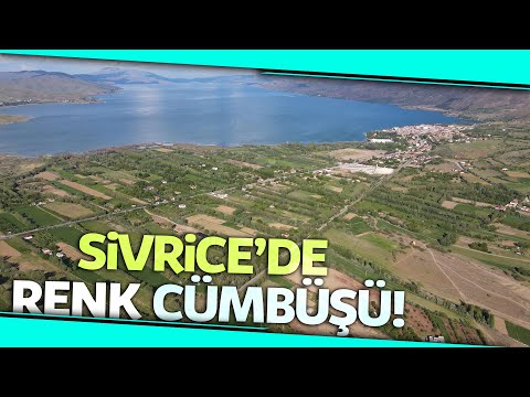 Muhteşem Doğasıyla Cezbeden Sivrice Böyle Görüntülendi