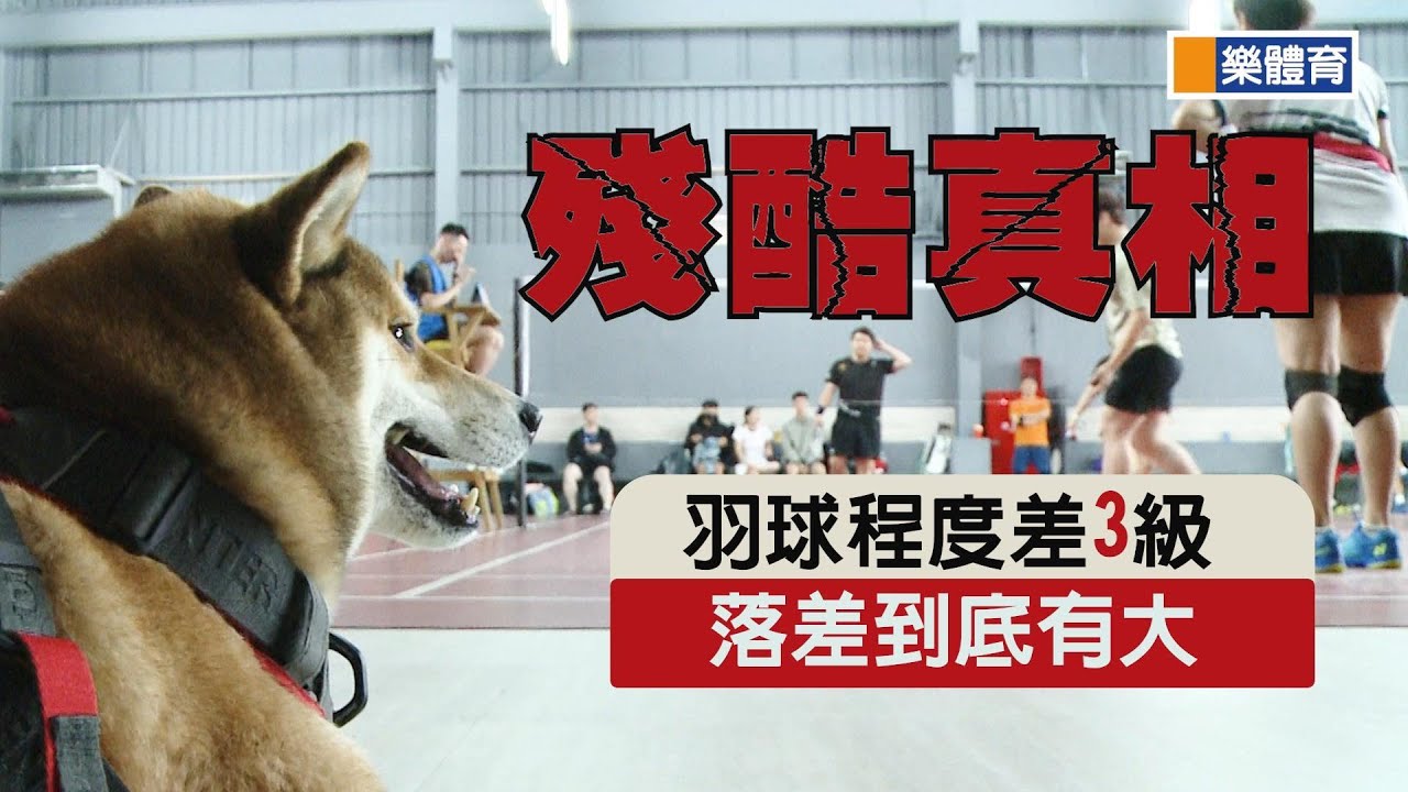 殘酷真相-羽球程度差三級,落差會有多大#羽球#羽球程度分級#南崁羽球館#火星計畫筋膜槍