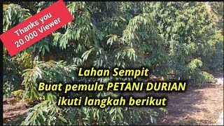Buat Petani Durian pemula || Punya Lahan Sempit ??Tanamin Durian Premium.Lihat kebun ini .