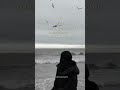 Haya Nasheed Shorts Viral Ramadan 2024 Haya Nasheed Shorts Viral Ramadan 2024