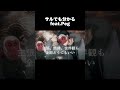 【オリジナル曲】サルでも分かる🐵1
