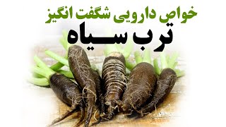 ترب سیاه، معجزه ای در میان سبزیجات