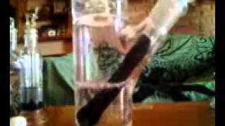 6 Downstem's