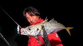 アジング動画
