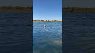 Colorado River #california #blythe #coloradoriver
