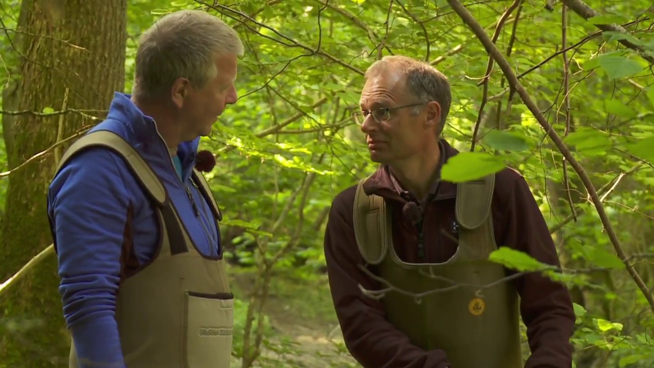Med Bo I Højen Å på jagt efter biodiversitet