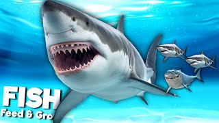 Eating Everyone To Grow My Baby Shark Family - Feed And Grow Fish