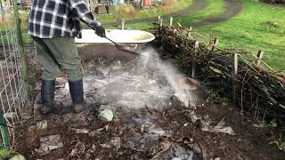 Ash Shells For The Garden