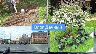 Поездка в Клин, сажаем картошку, мечтала об этой даче!