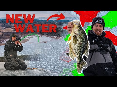 Ice Fishing for Crappie with Ultralight Jigs - Wired2Fish