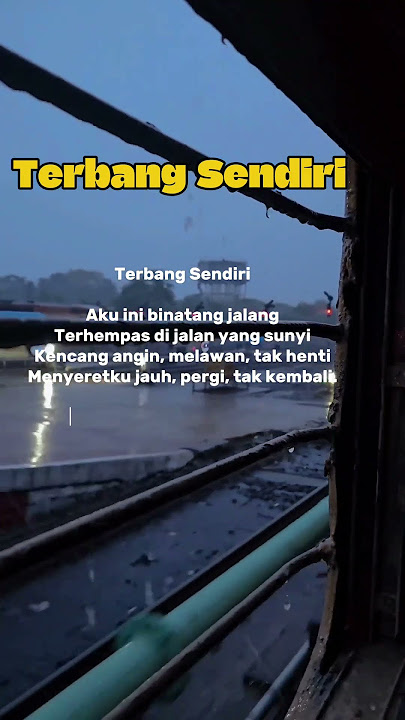 Terbang Sendiri #musikalisasipuisi #puisicinta #puisirasa