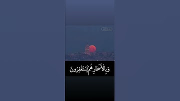 رعد الكردي سورة الذاريات