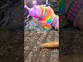 Bug Insect Names for Kids to Learn at the Waterfall: Praying Mantis Slug Snail Butterfly Weevil