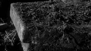 Madking Ludwig - Awake Again