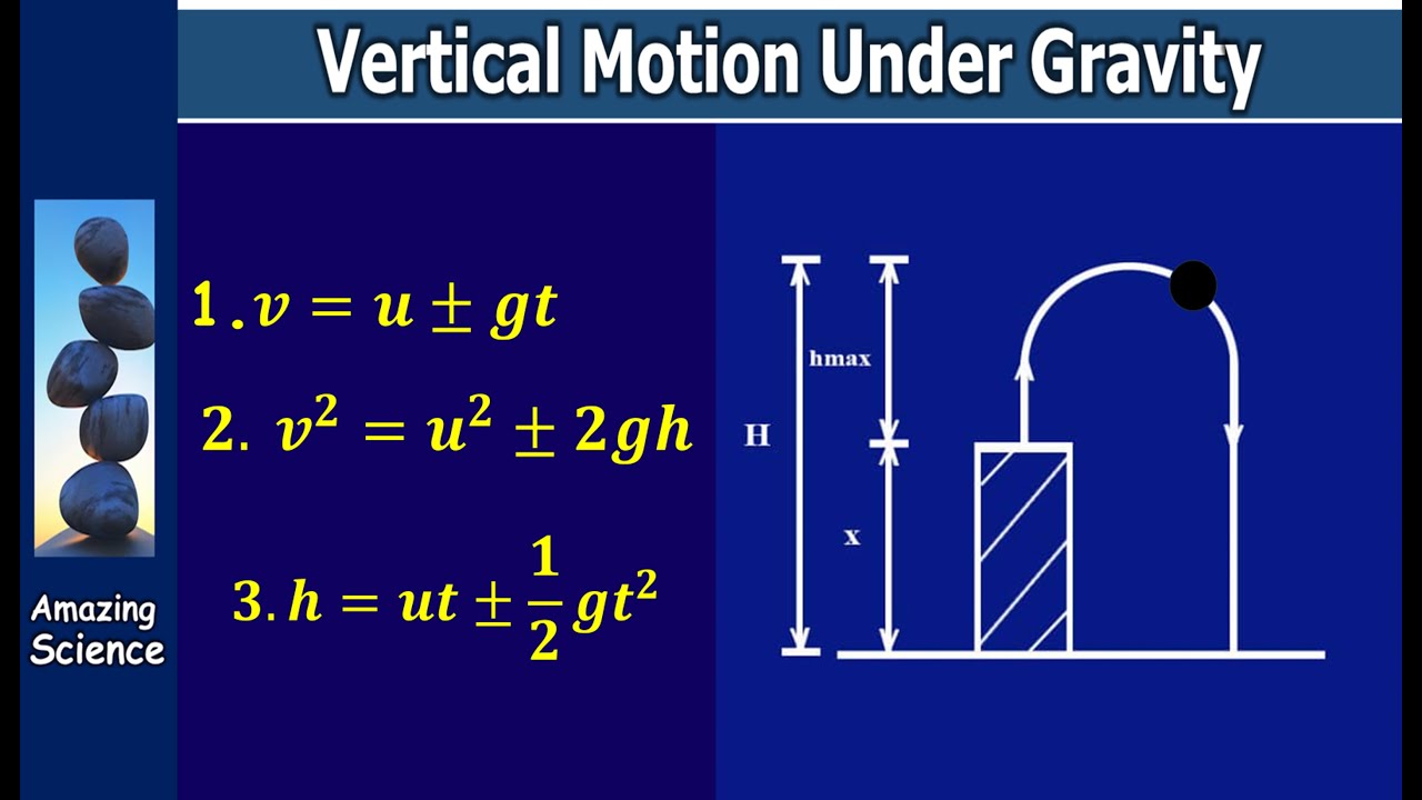 Vertical Motion Under Gravity || Complete Concept Guide 