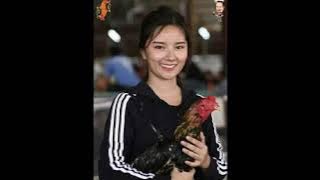 VIRAL !! BOTOH ayam aduan cantik bak model