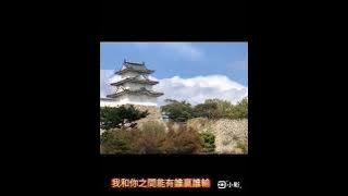 情罪（伴唱有導音）